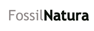 fossilnatura-logo1